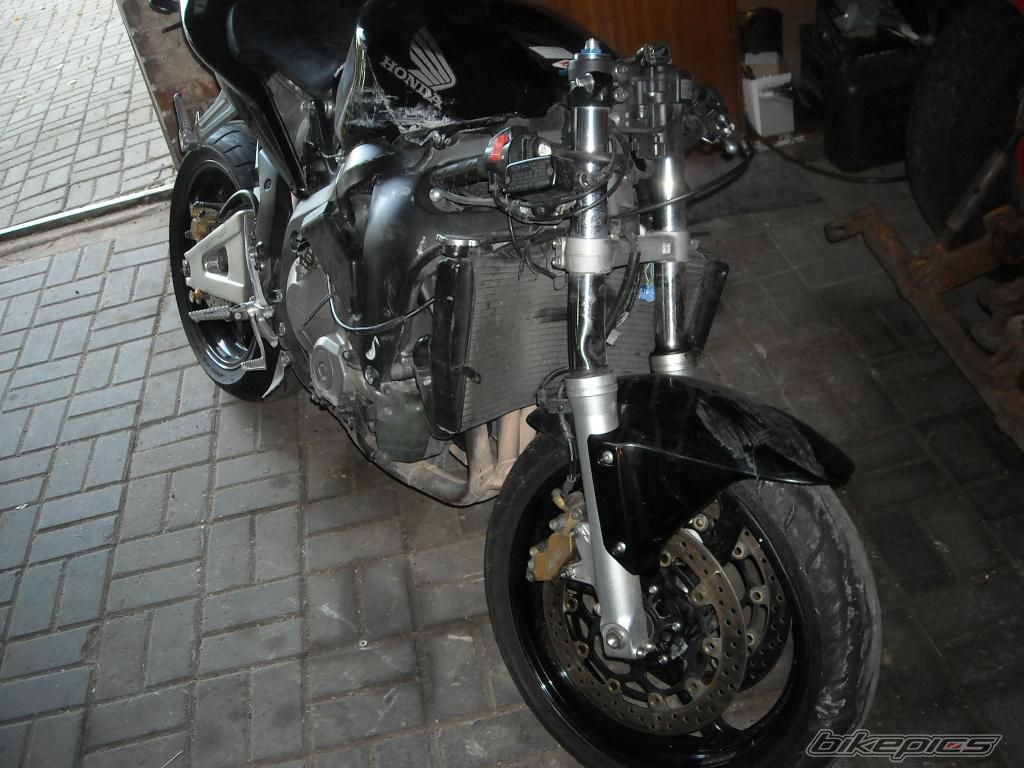 Photo 2481476