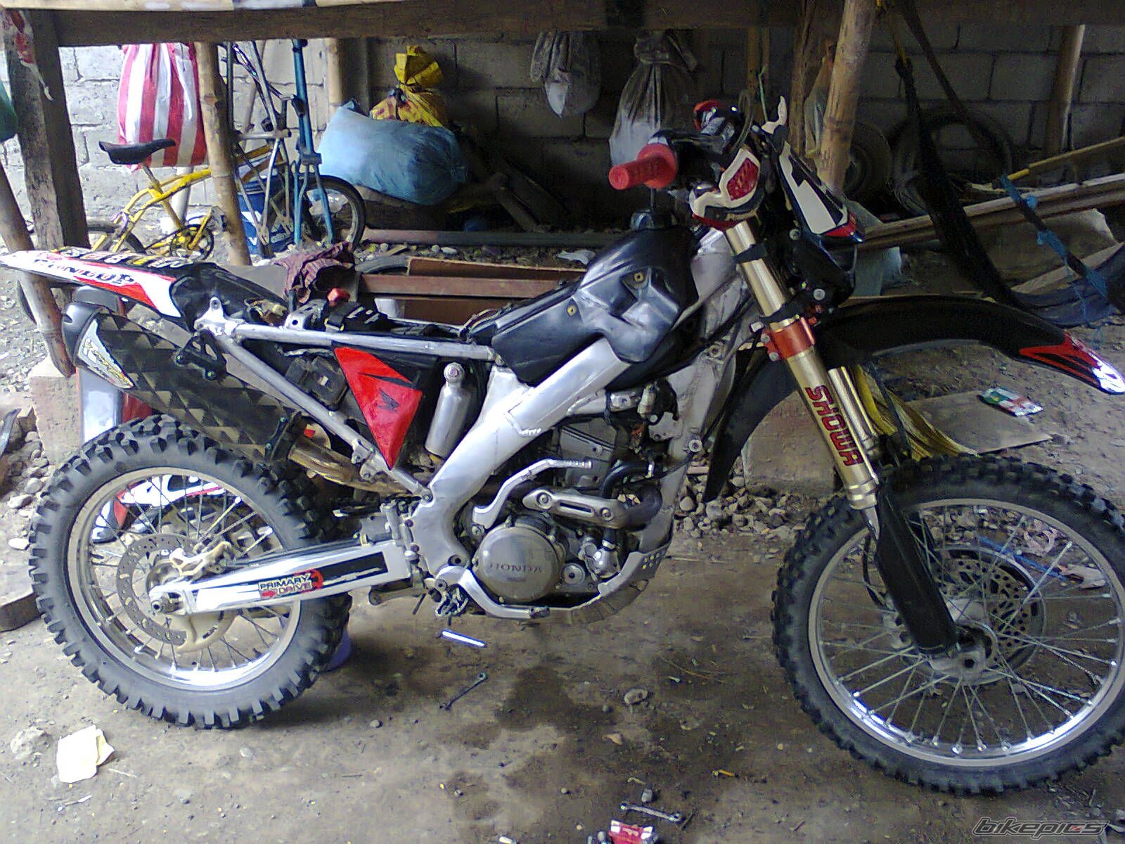 Photo 2481541
