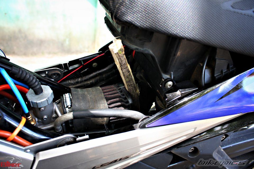 Photo 2481765