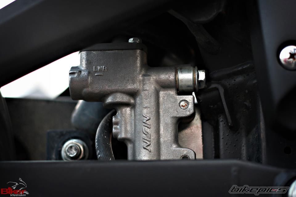 Photo 2481768