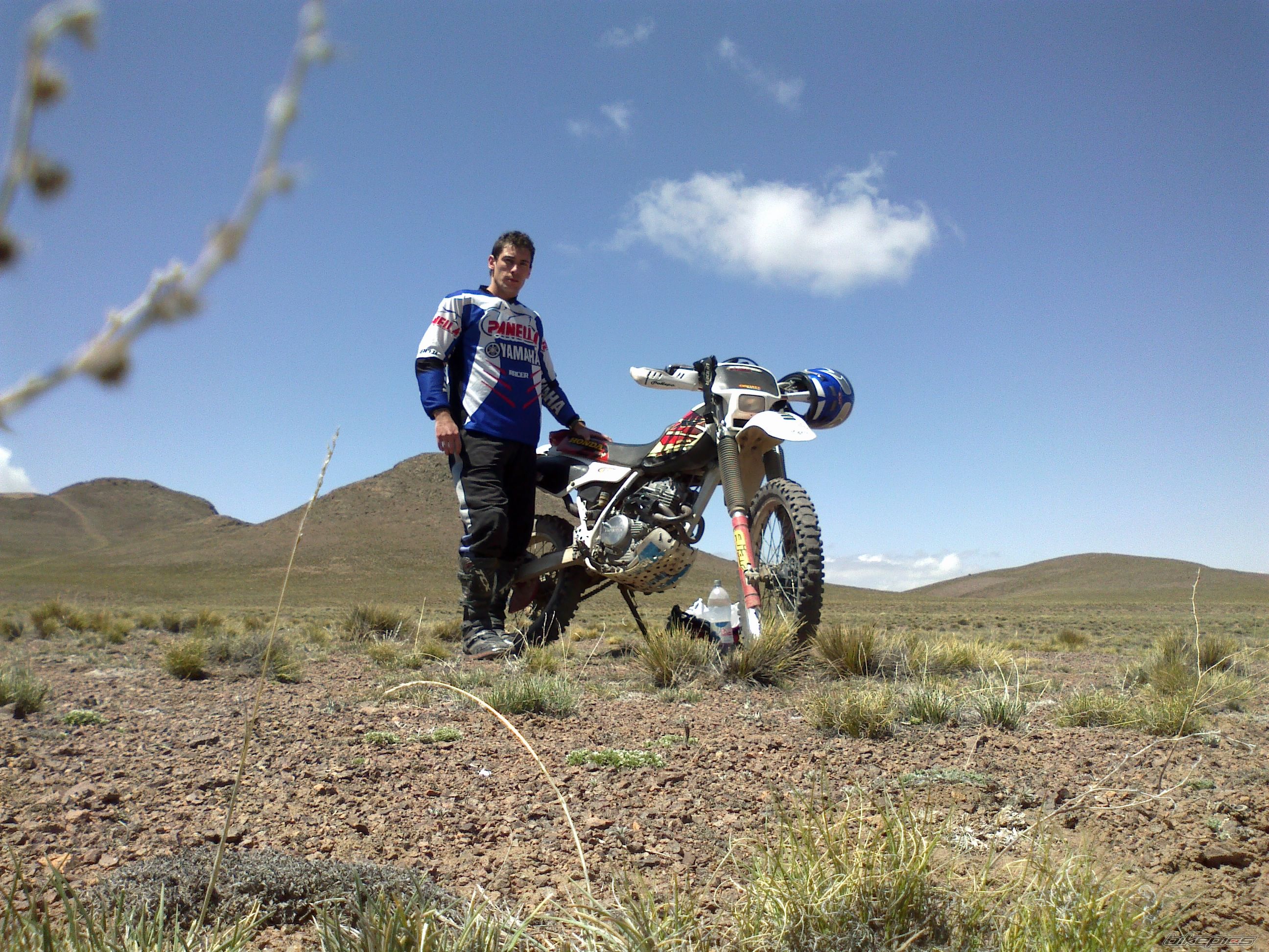 Photo 2481849
