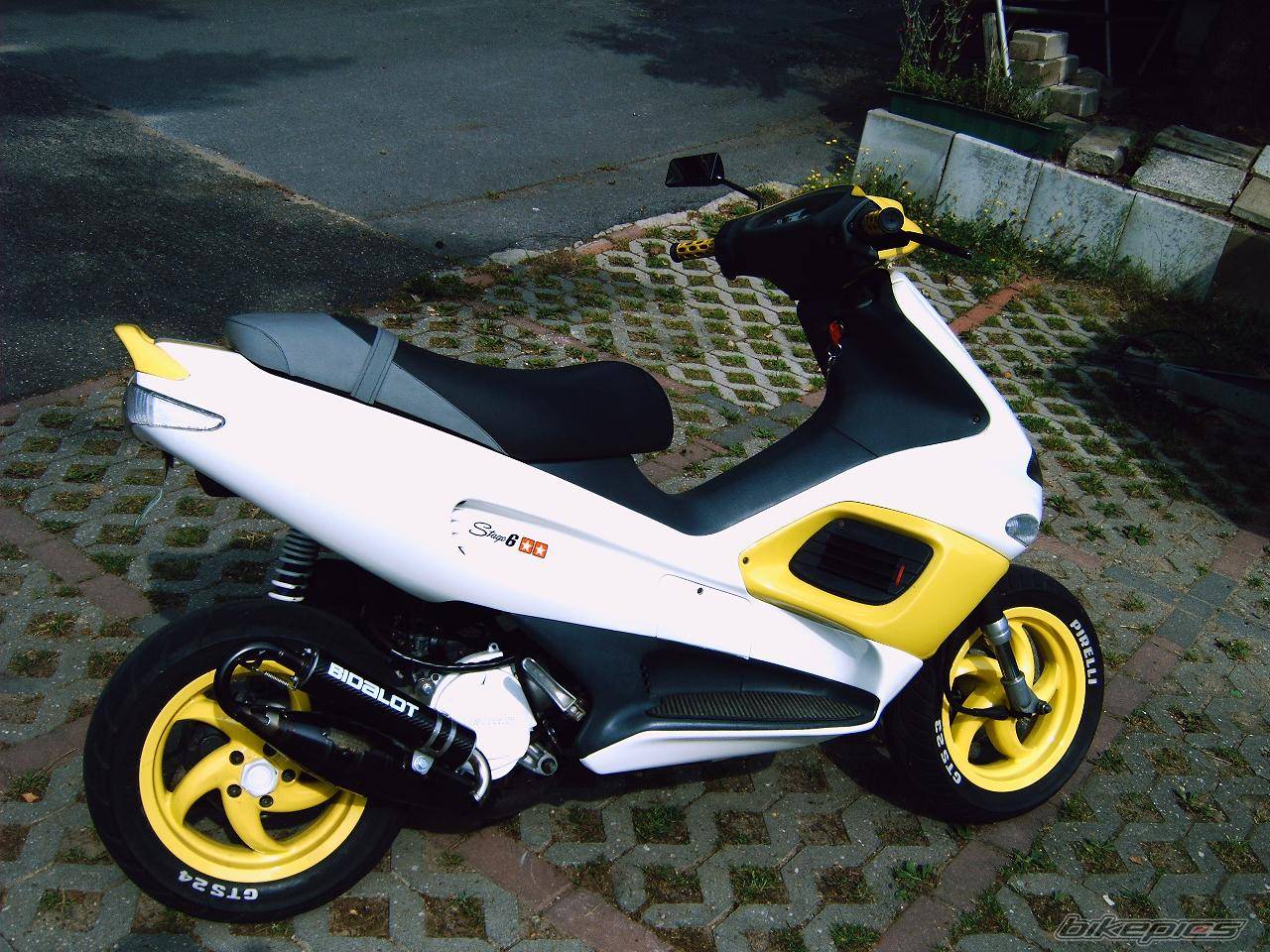 Photo 248190