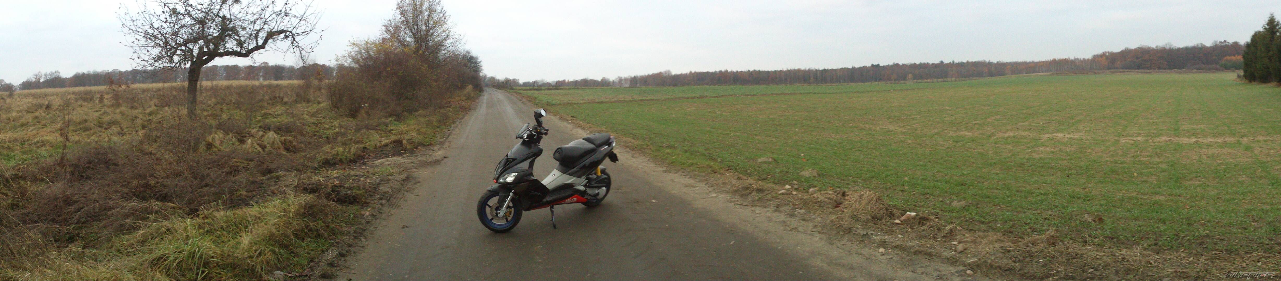 Photo 2481950