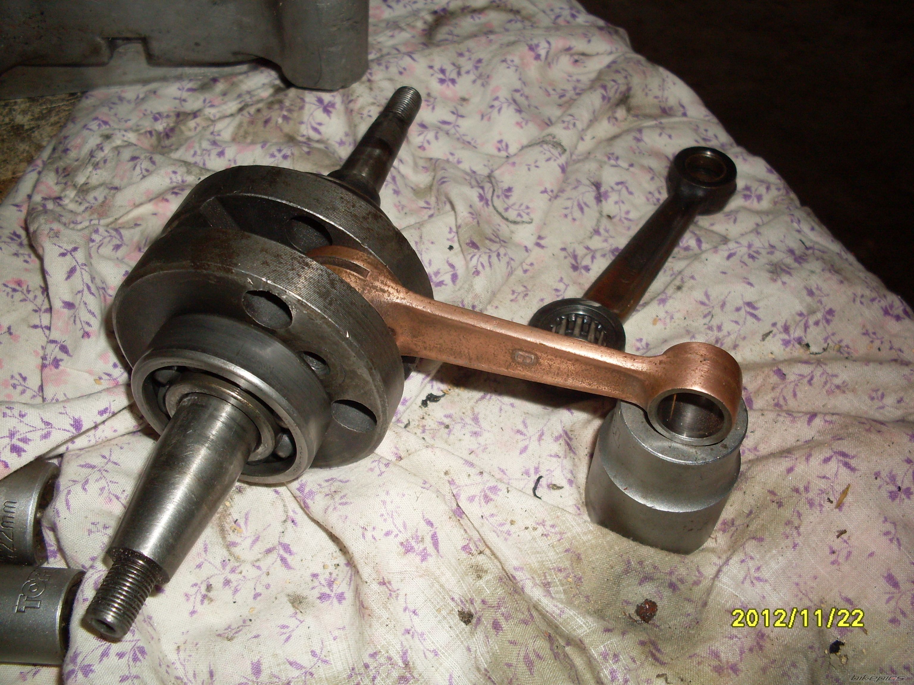 Photo 2481952