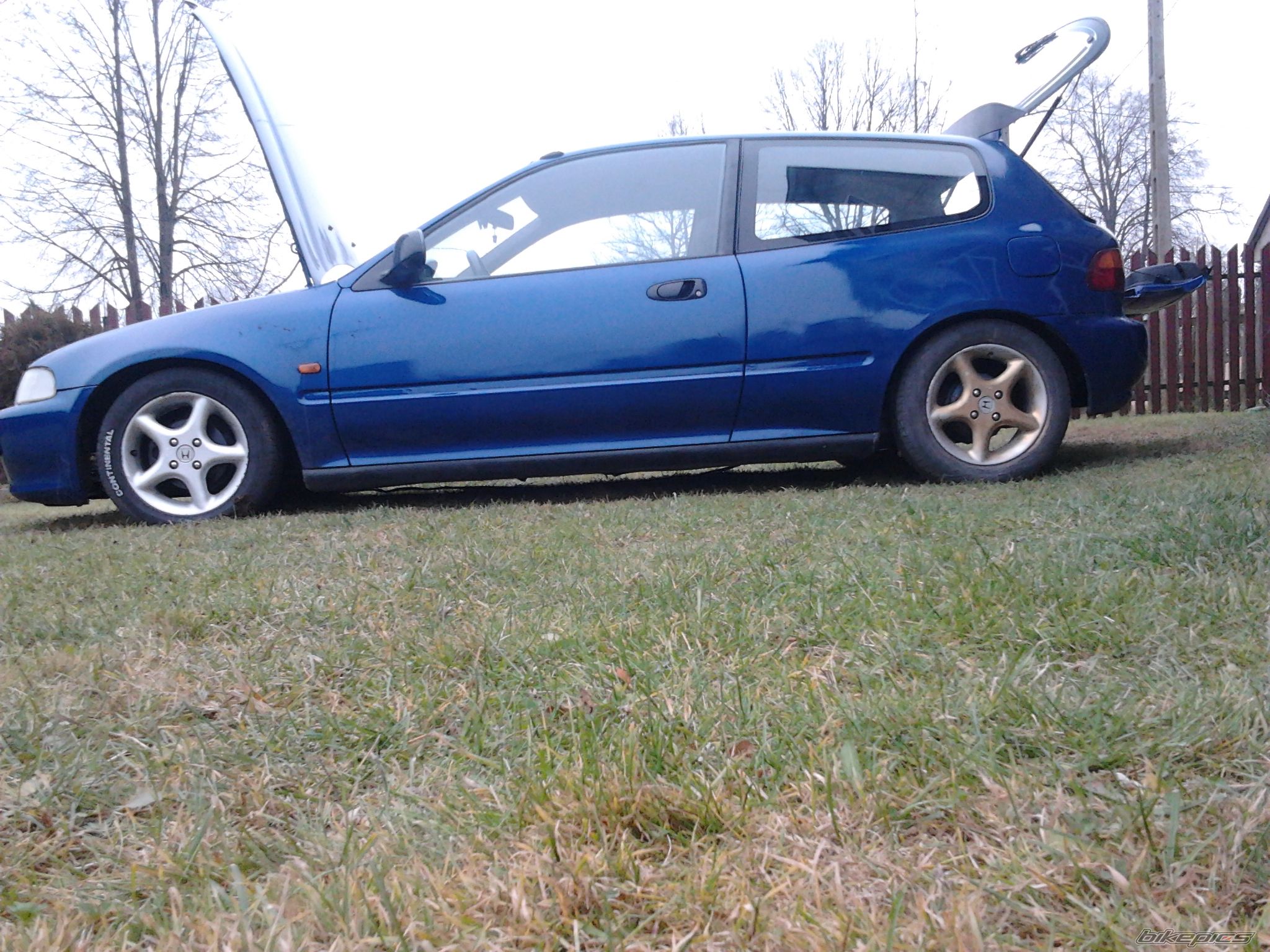 Photo 2482027