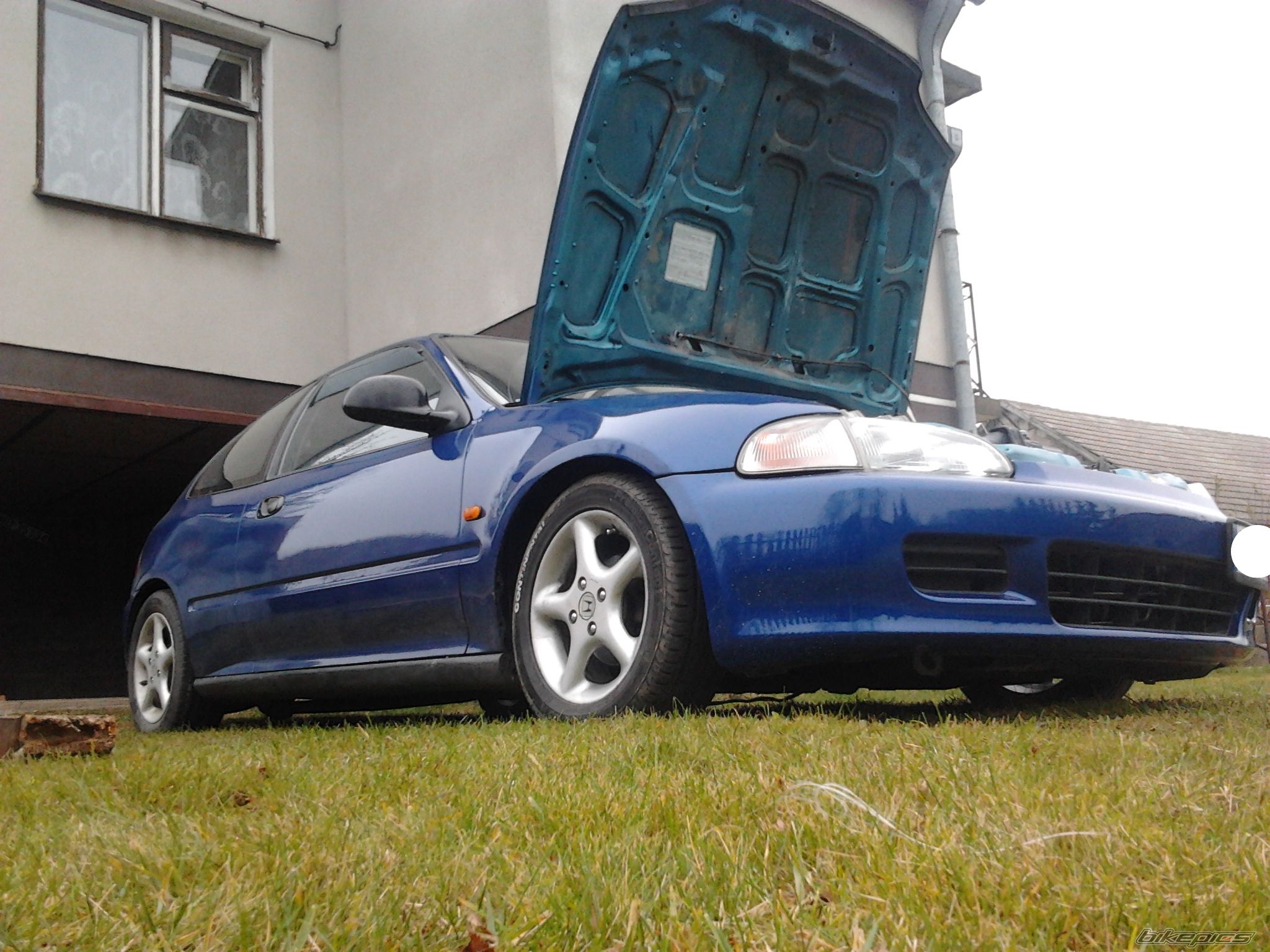Photo 2482030