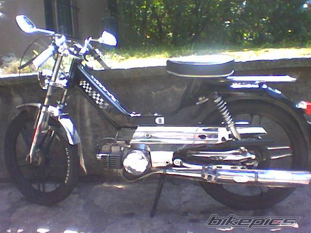 Photo 248204