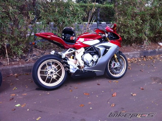 Photo 2482225