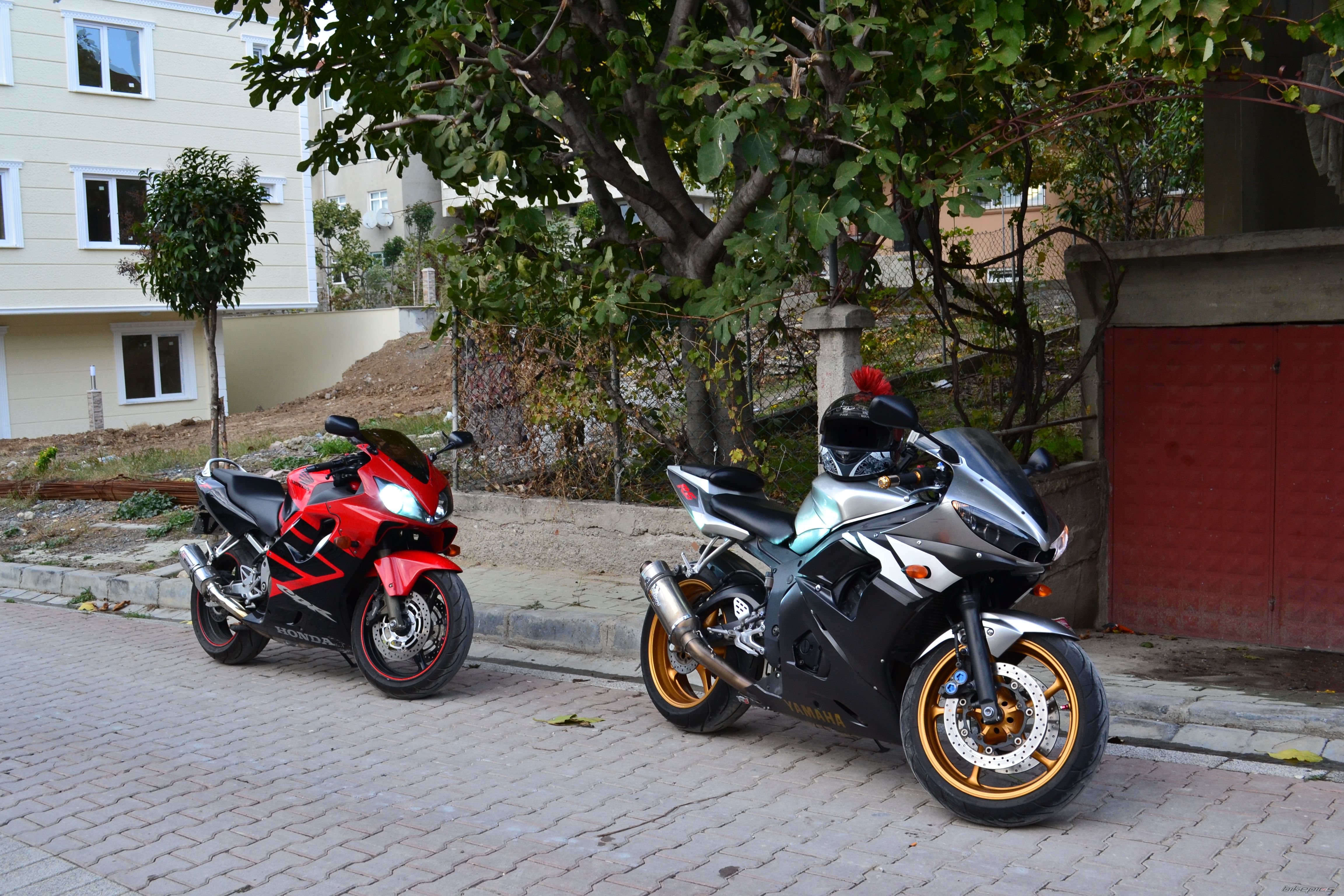 Photo 2482292
