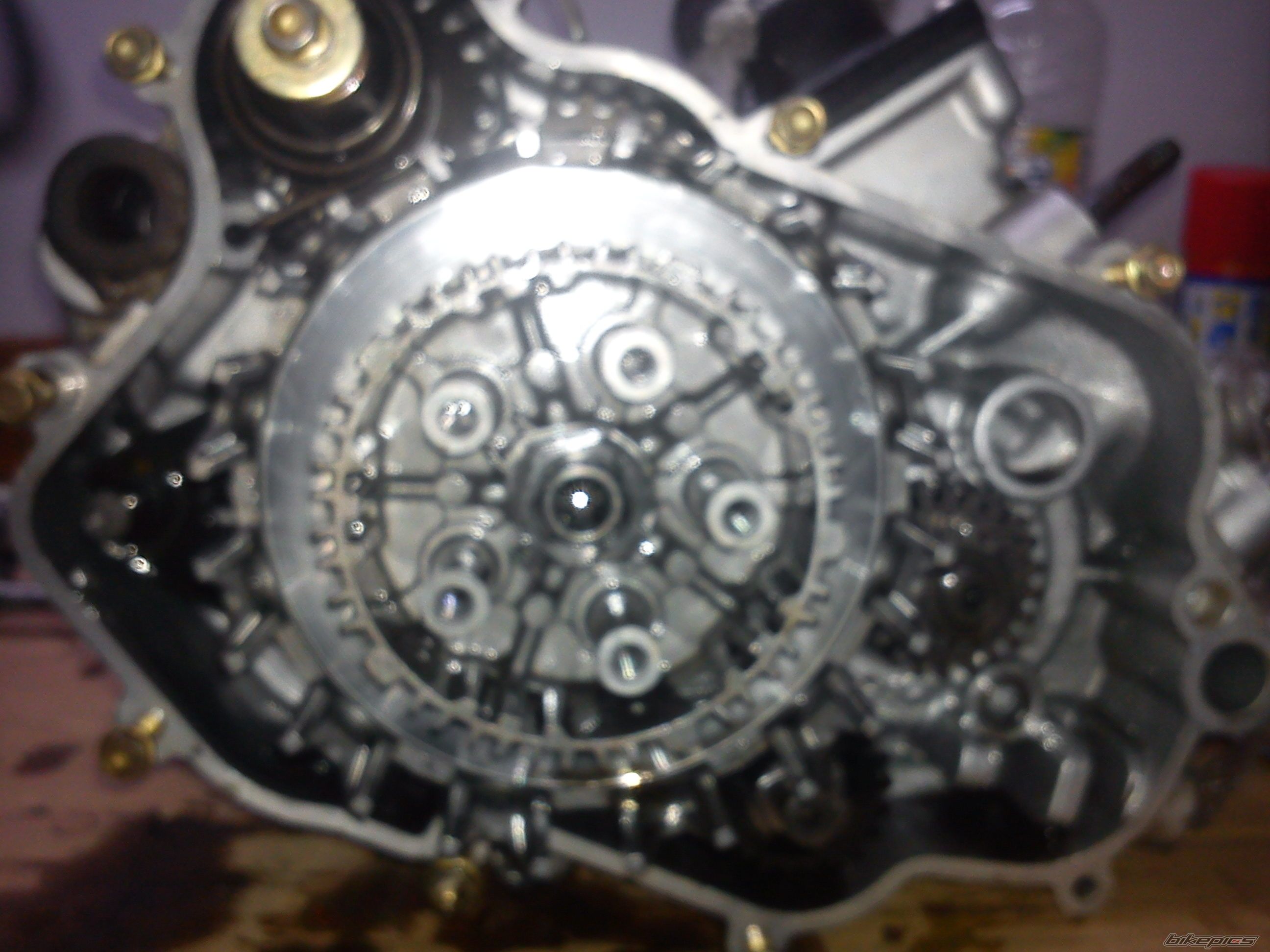 Photo 2482319
