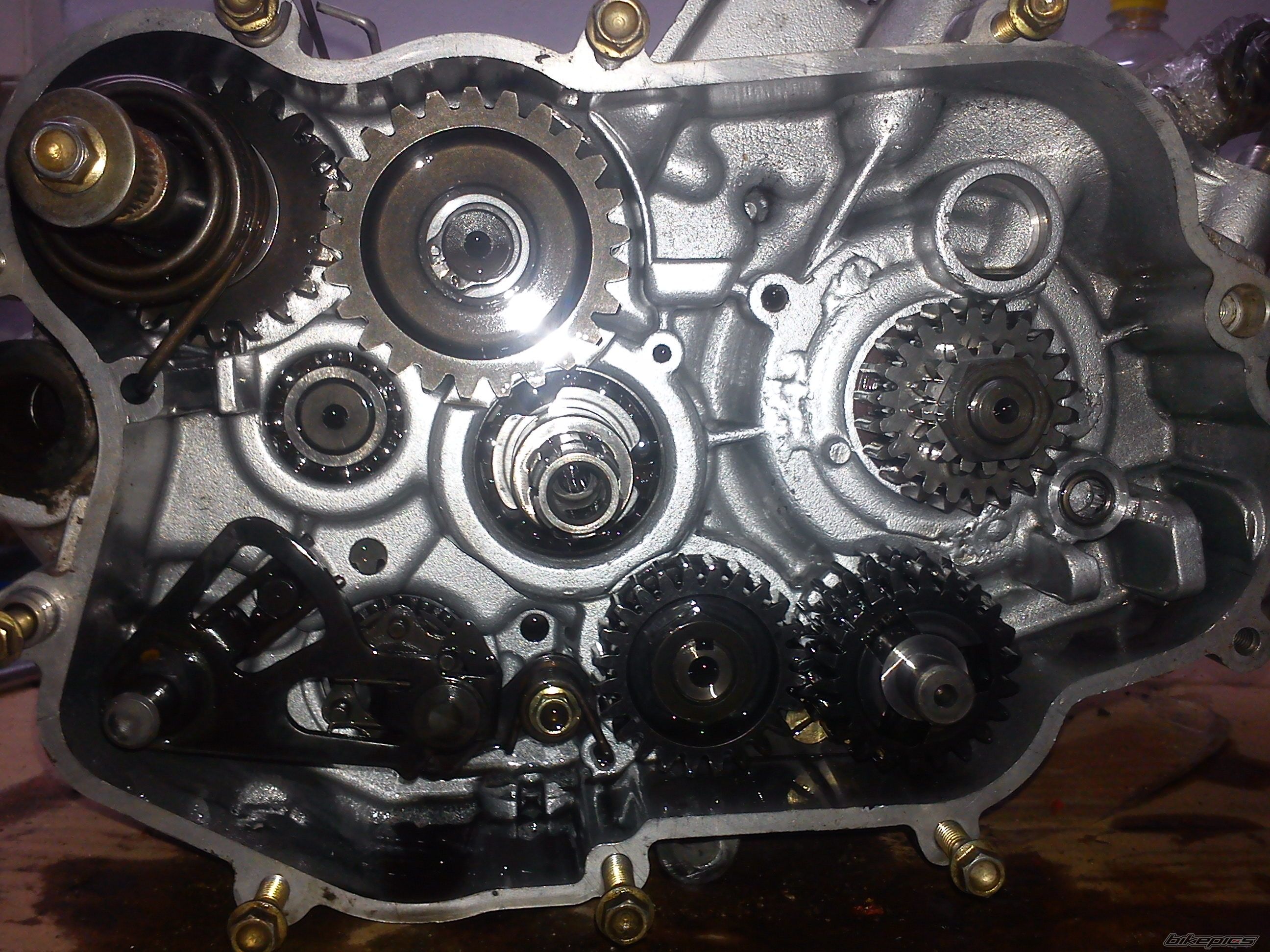 Photo 2482320