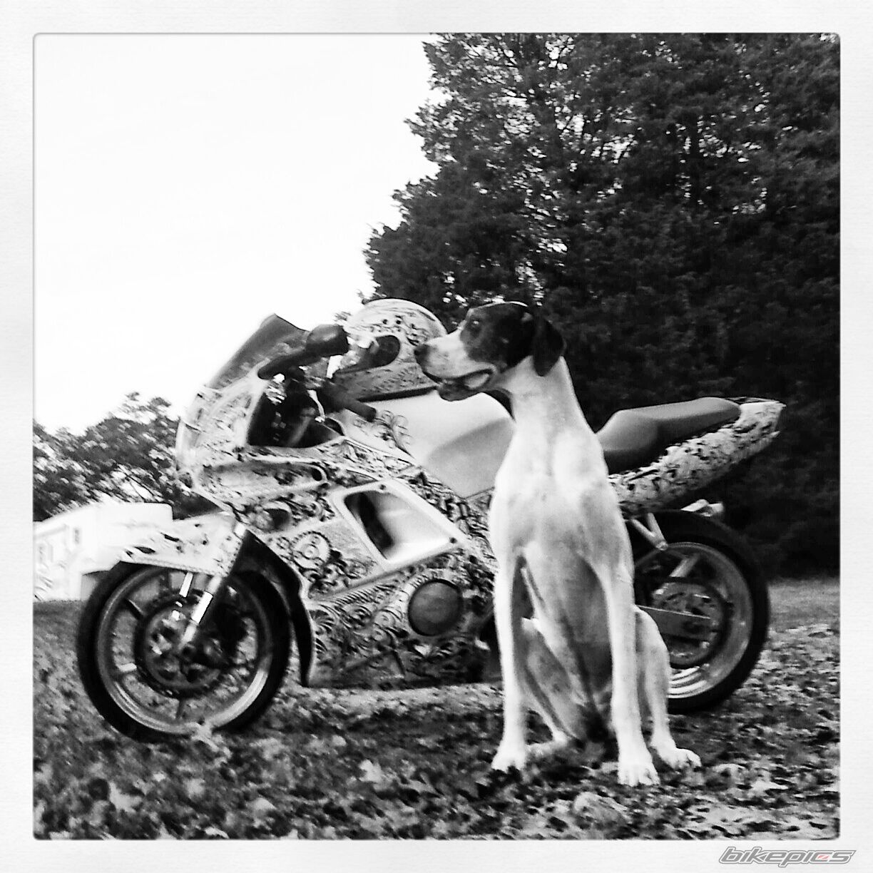 Photo 2482324