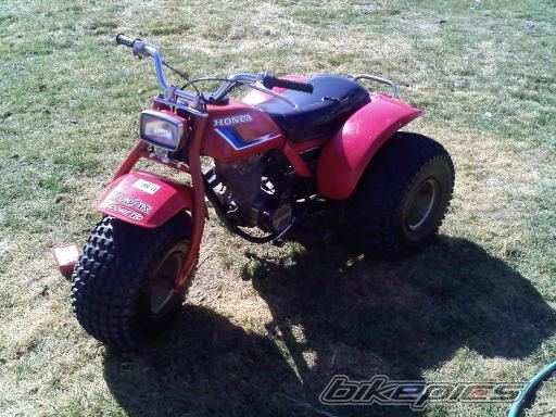 Photo 2482337