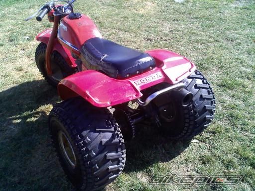 Photo 2482338
