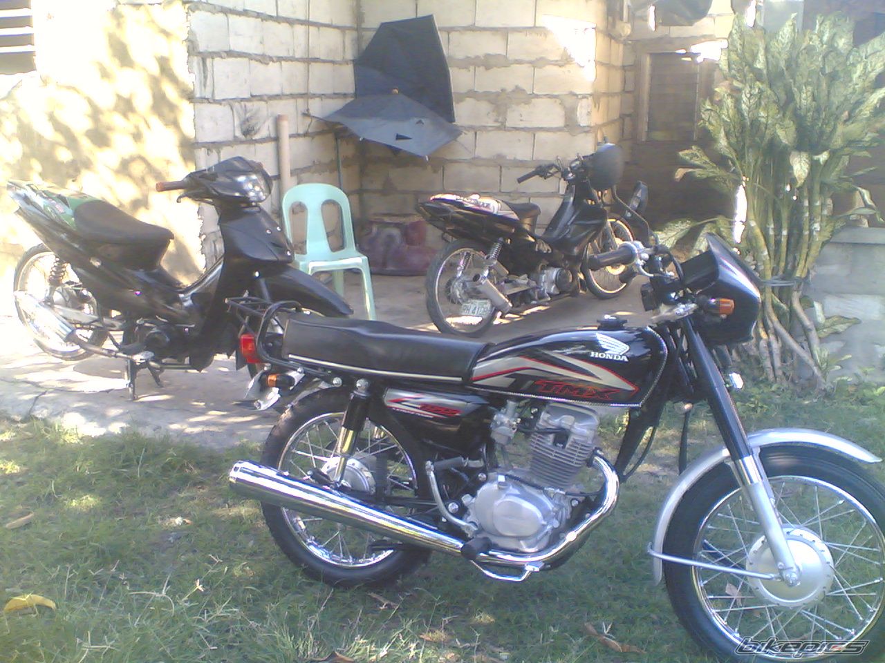 Photo 2482345
