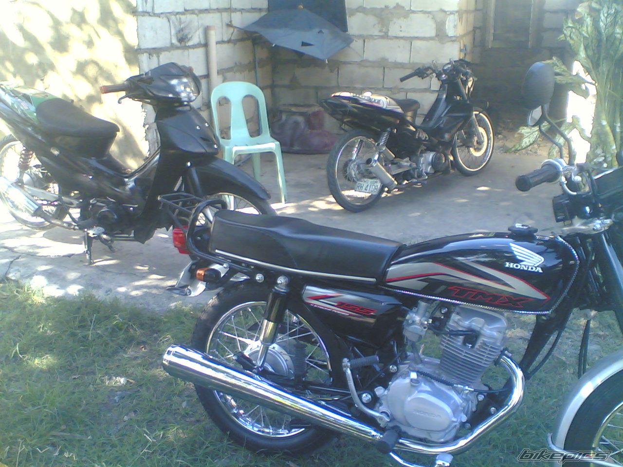Photo 2482347