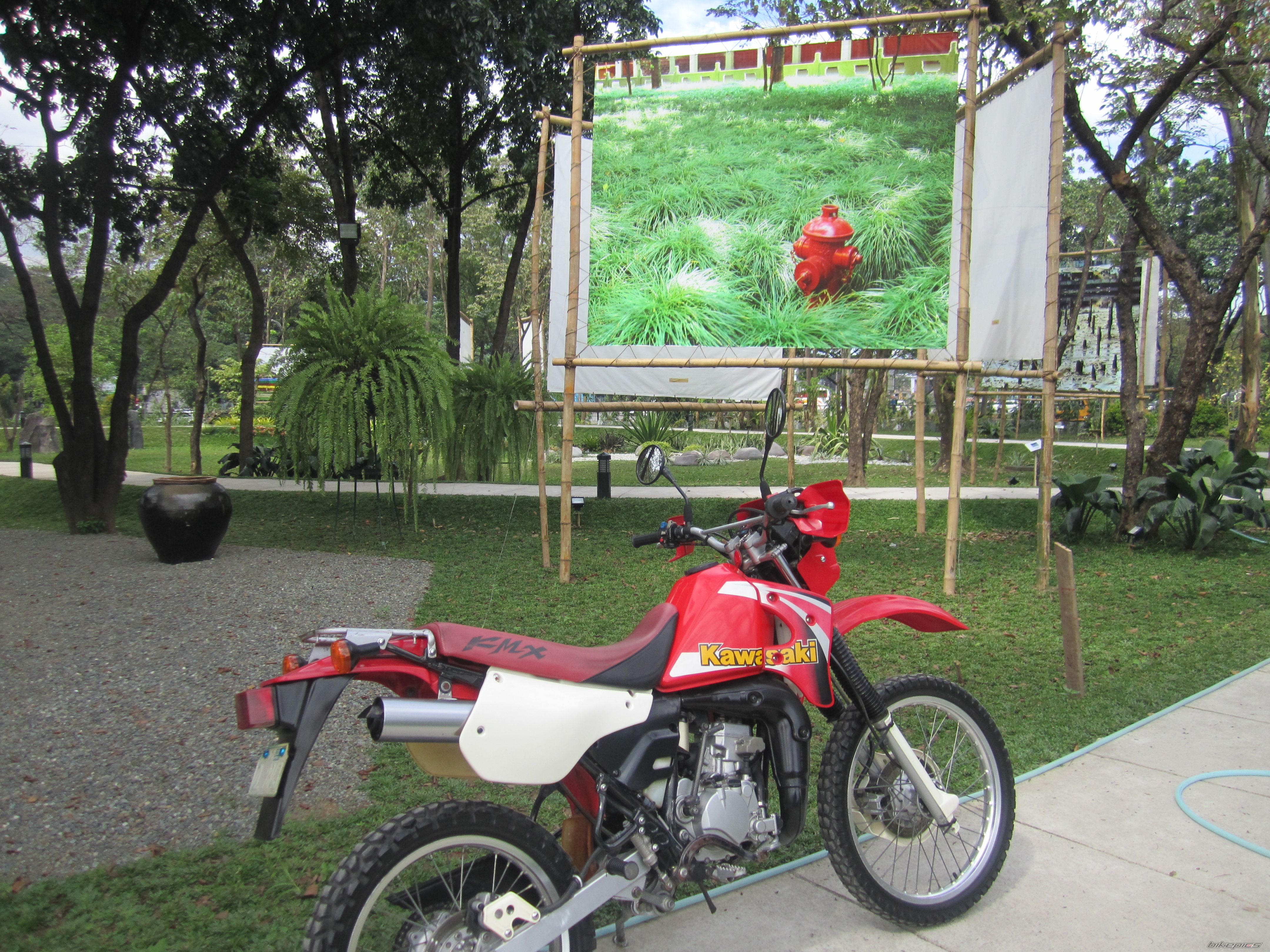 Bike Photo 2482349