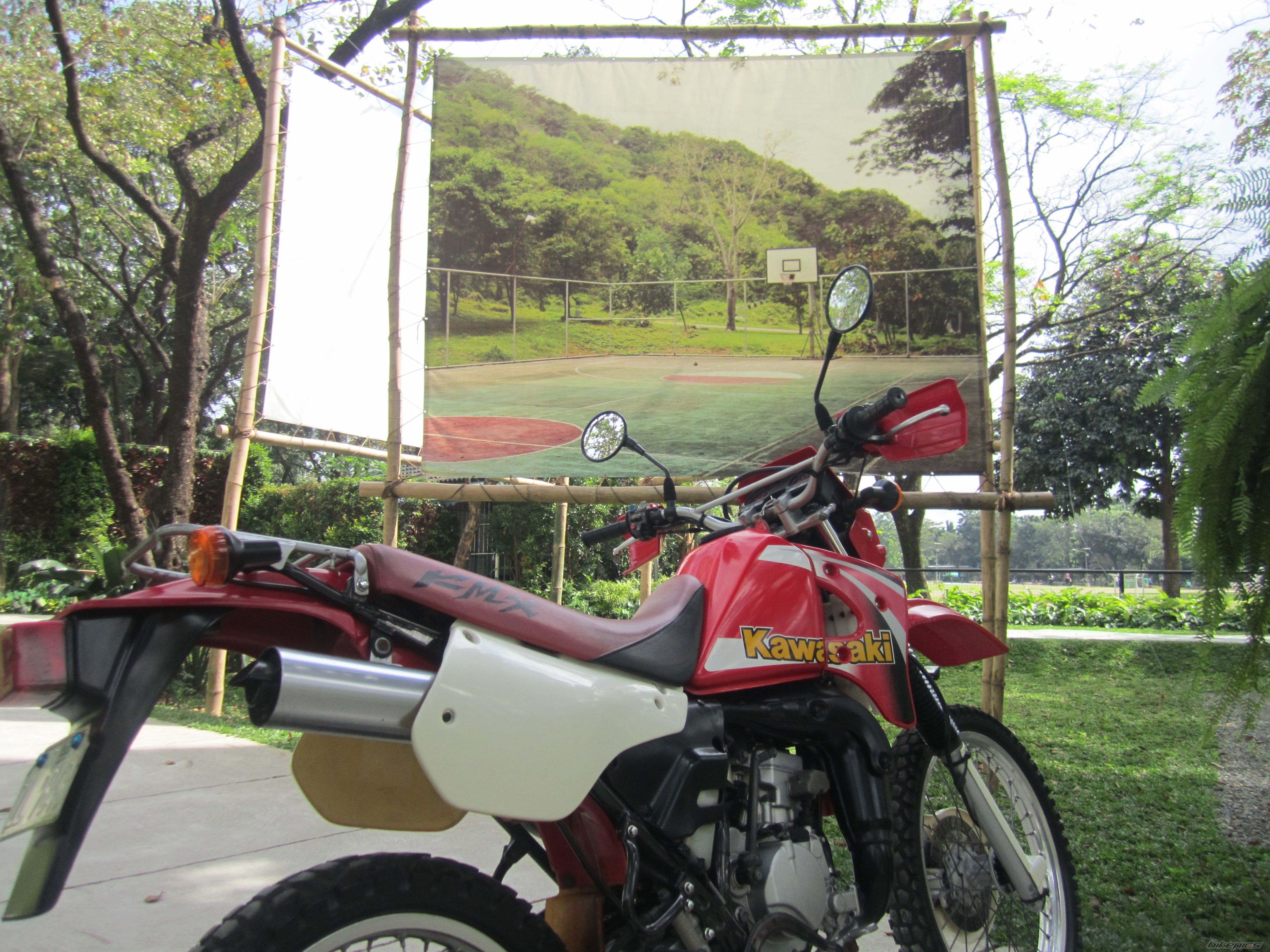 Photo 2482353
