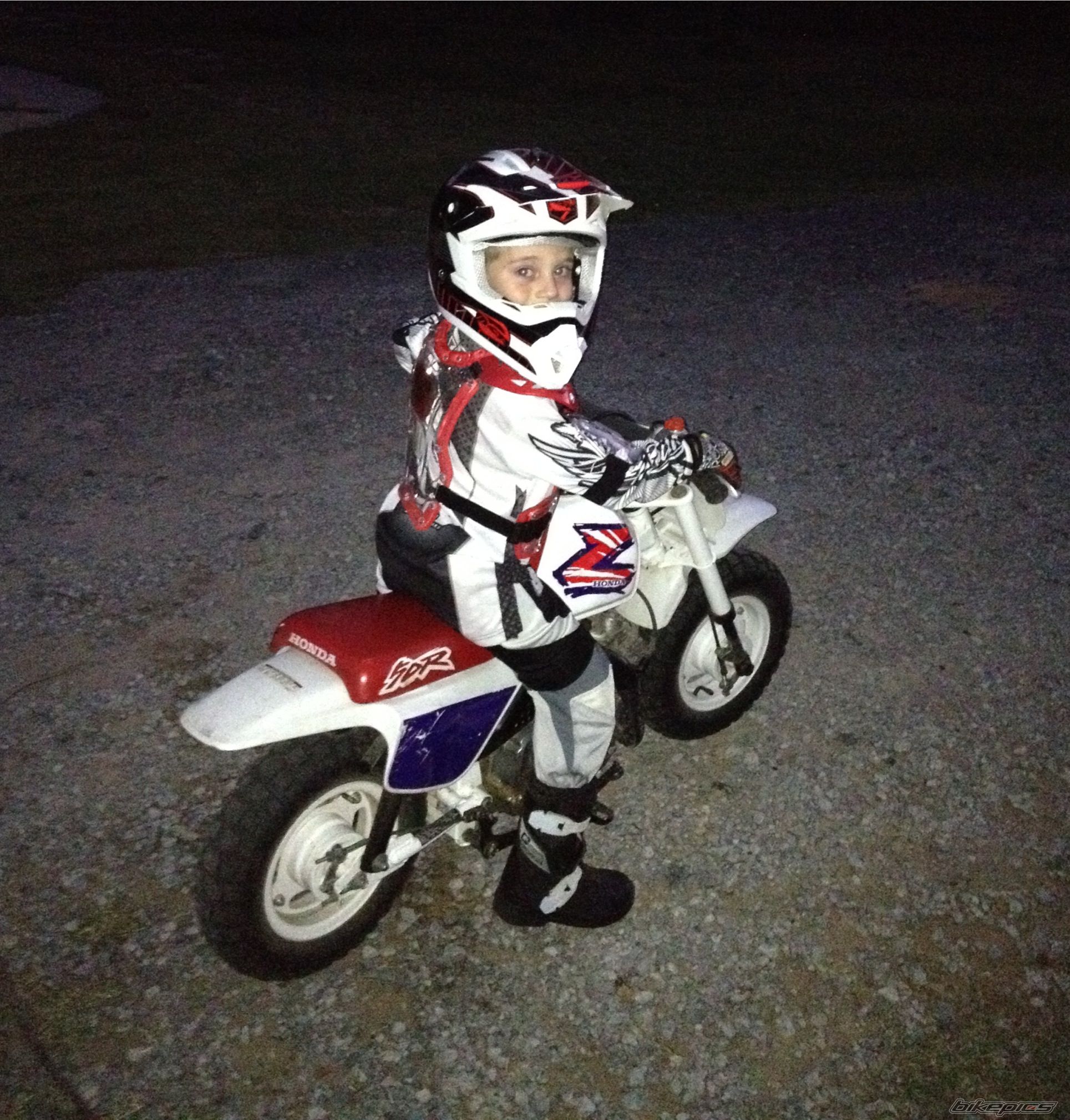 Photo 2482356