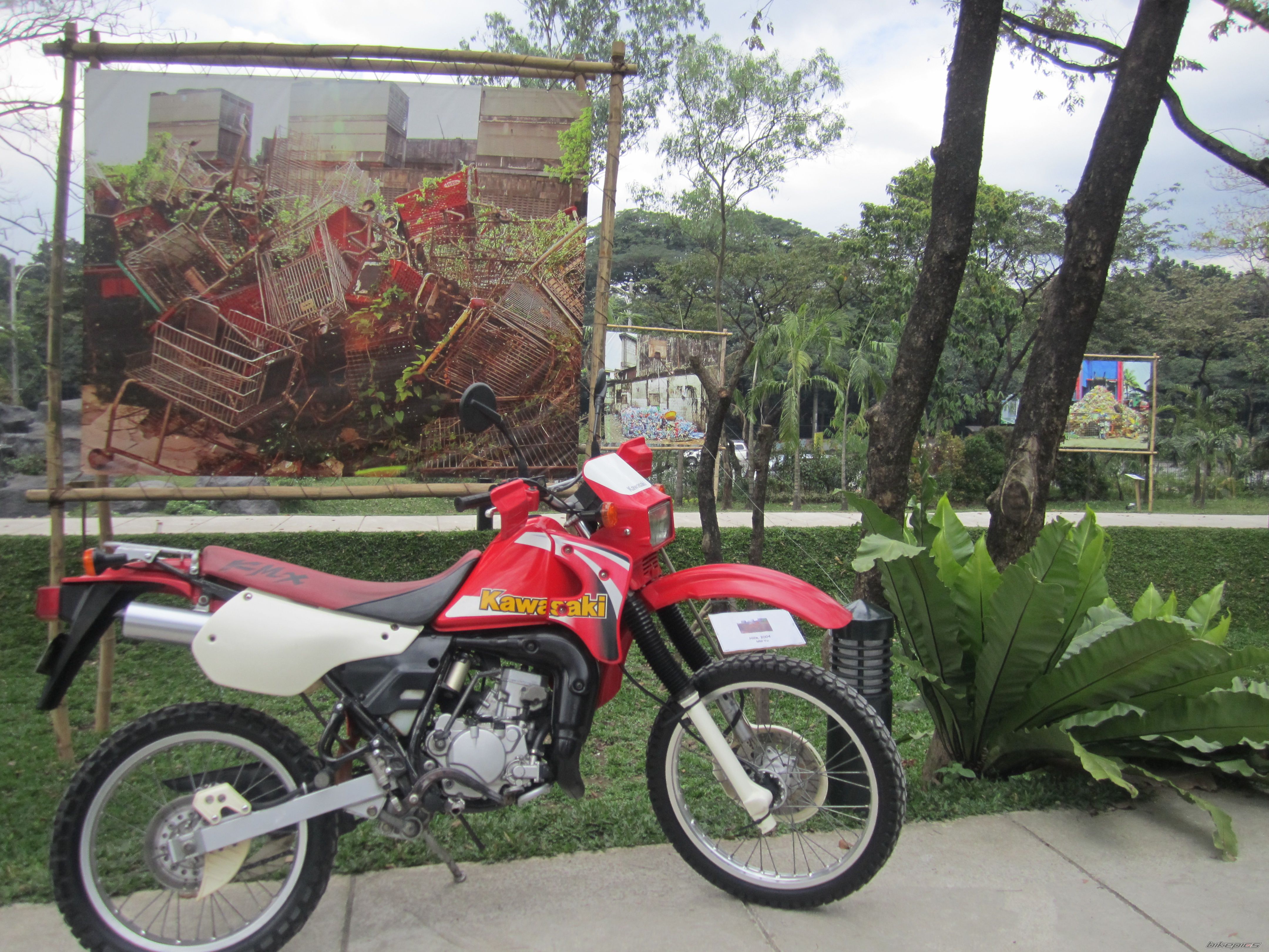 Photo 2482378