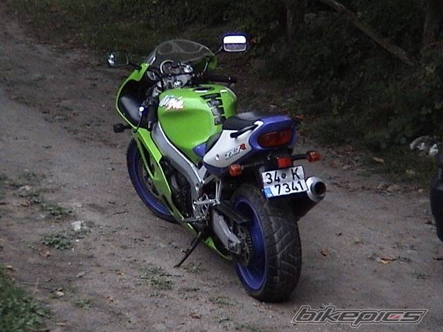 Photo 248238
