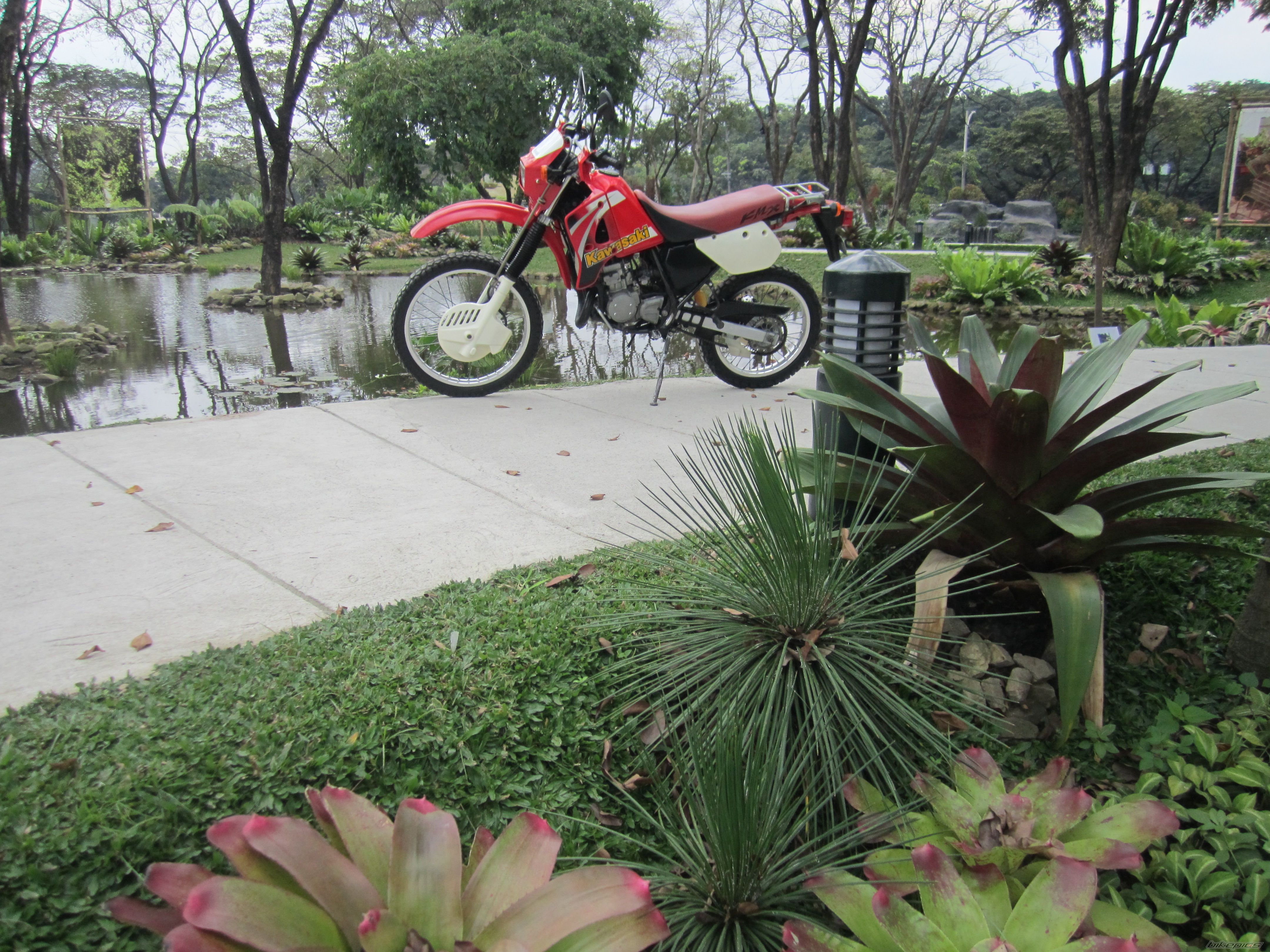 Photo 2482384
