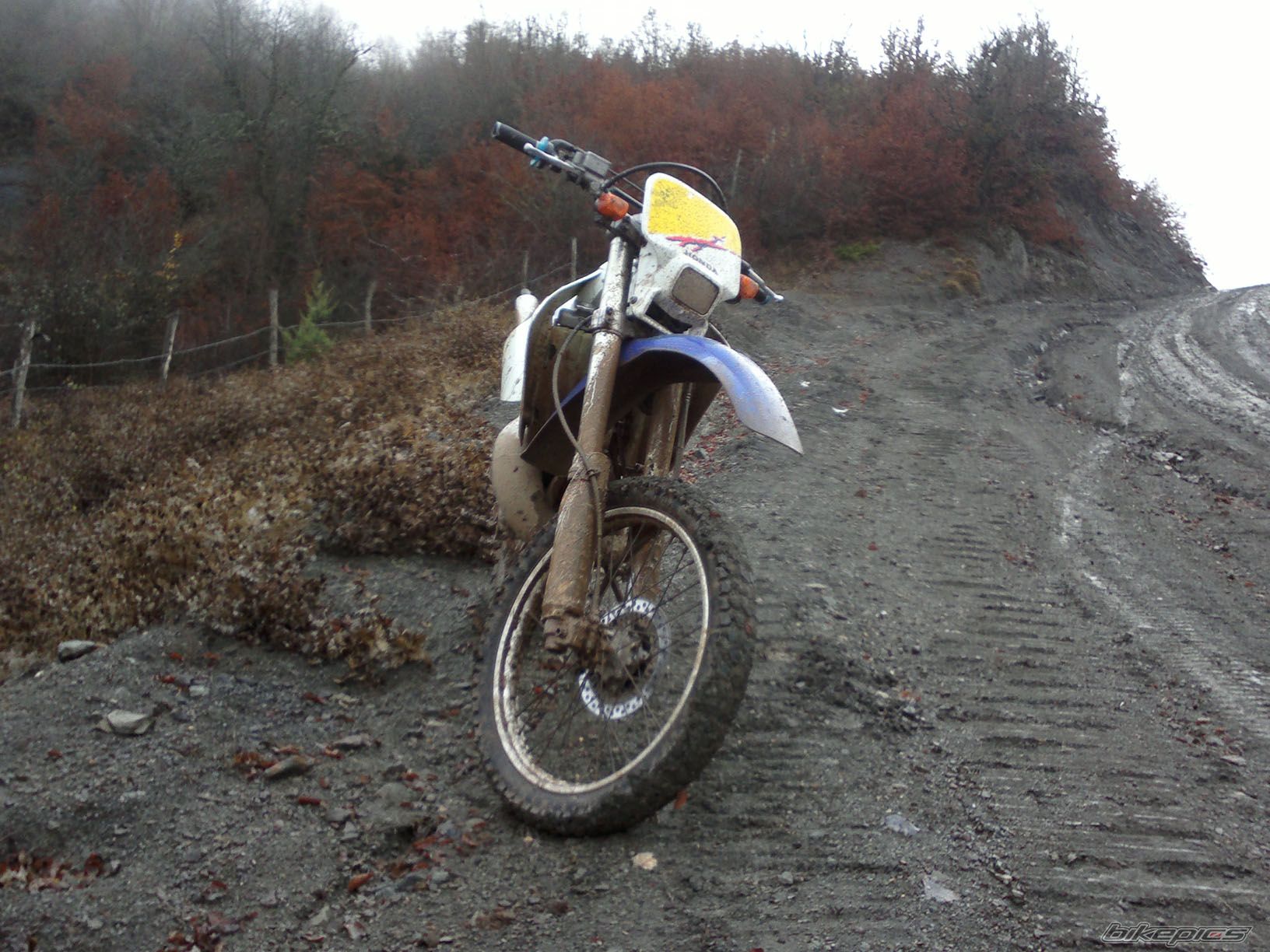 Photo 2482401