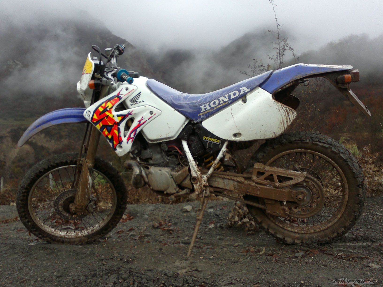 Photo 2482405