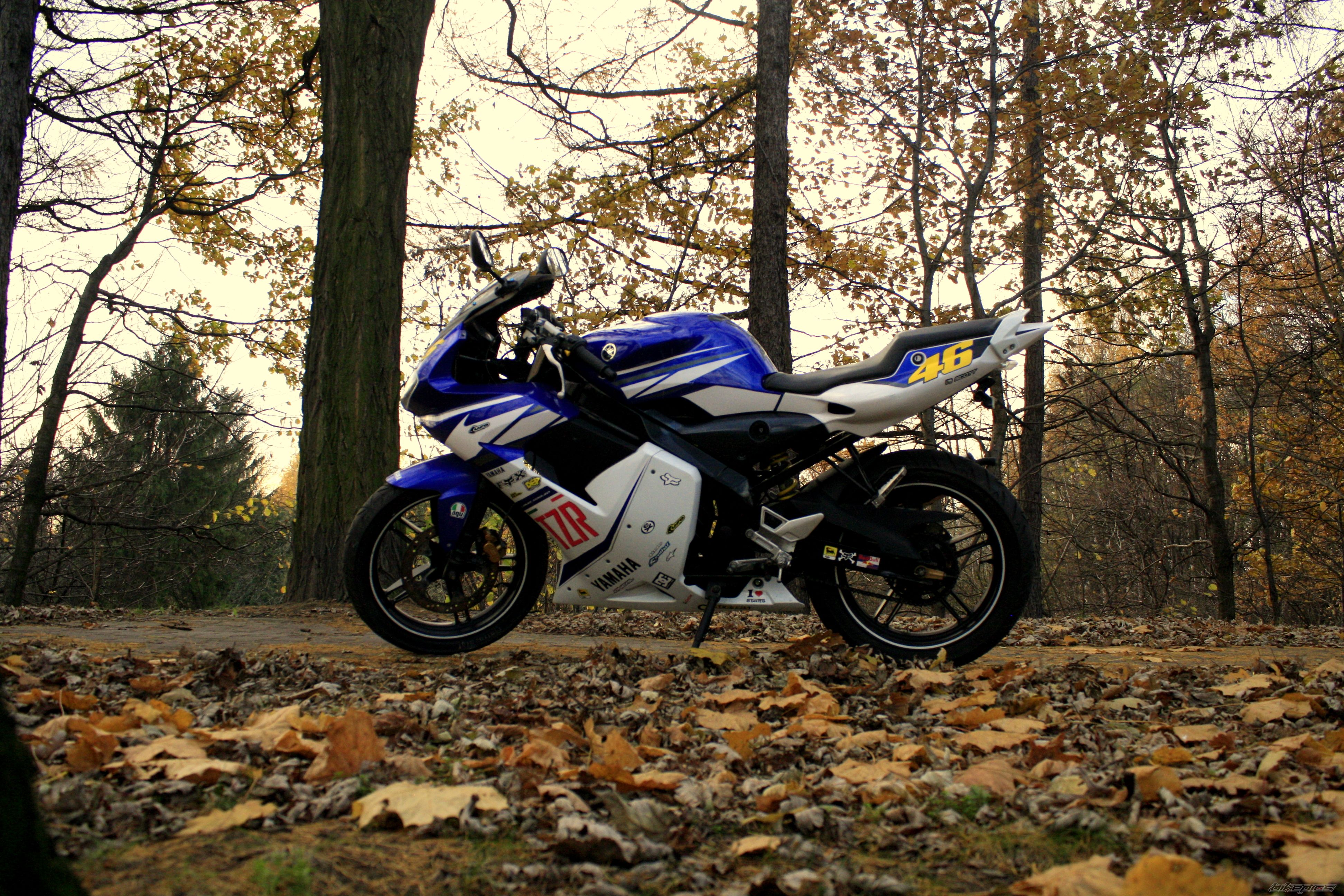 Photo 2482441