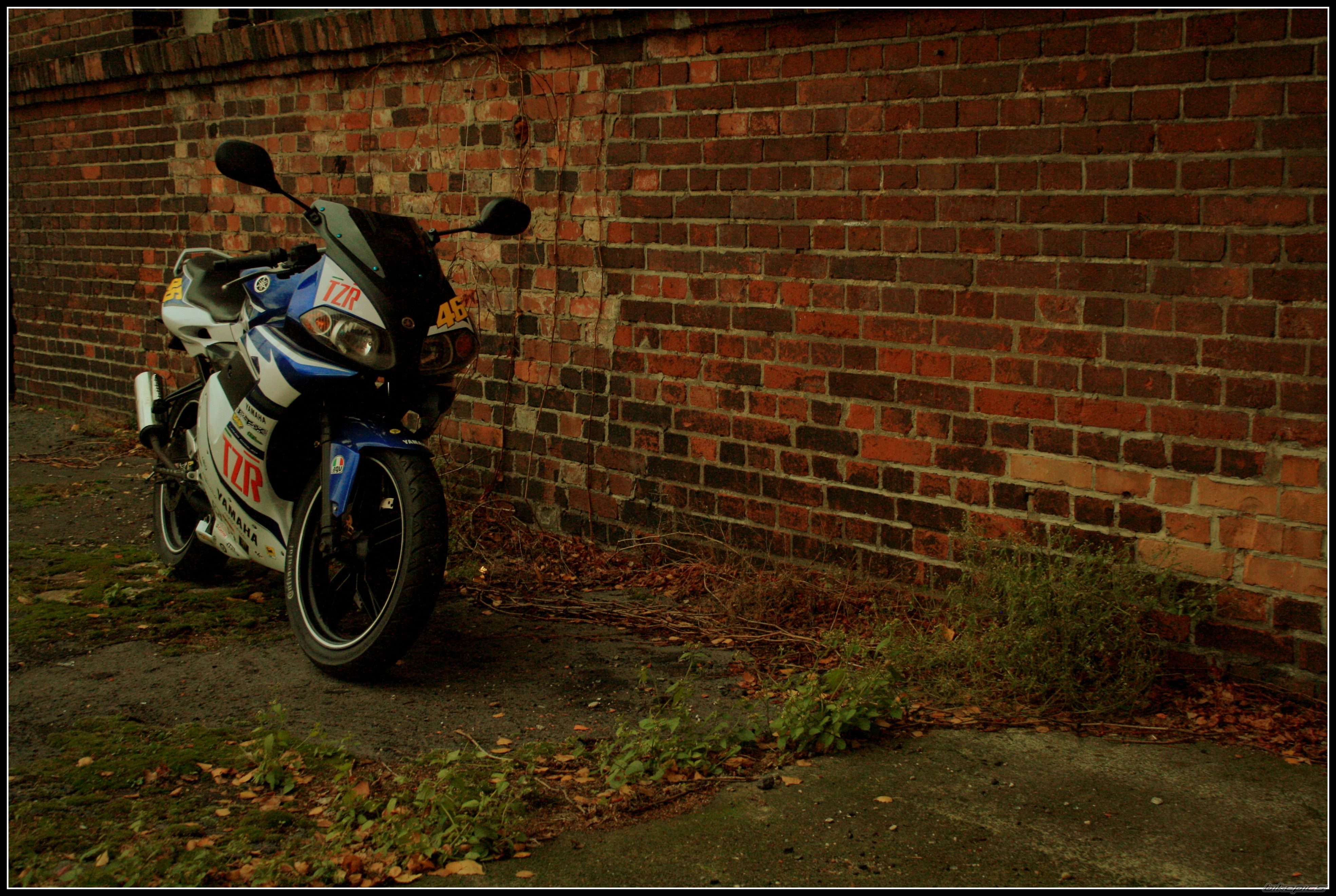 Photo 2482446