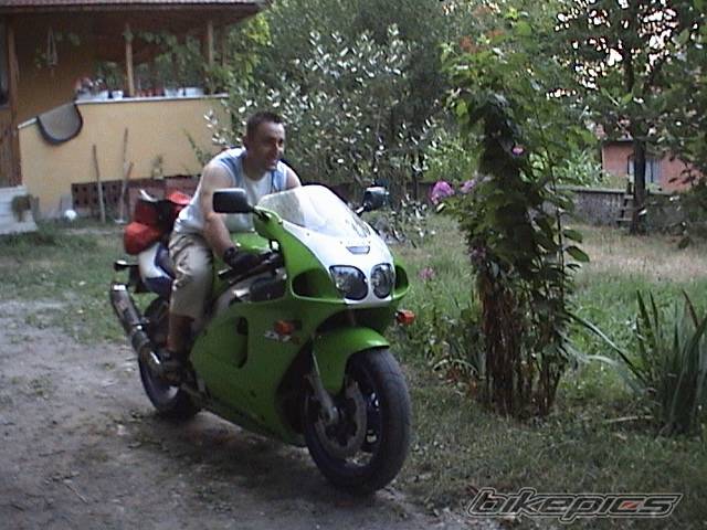 Photo 248245