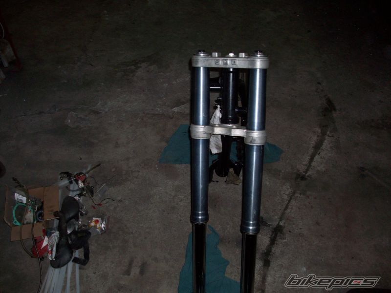 Photo 2482507