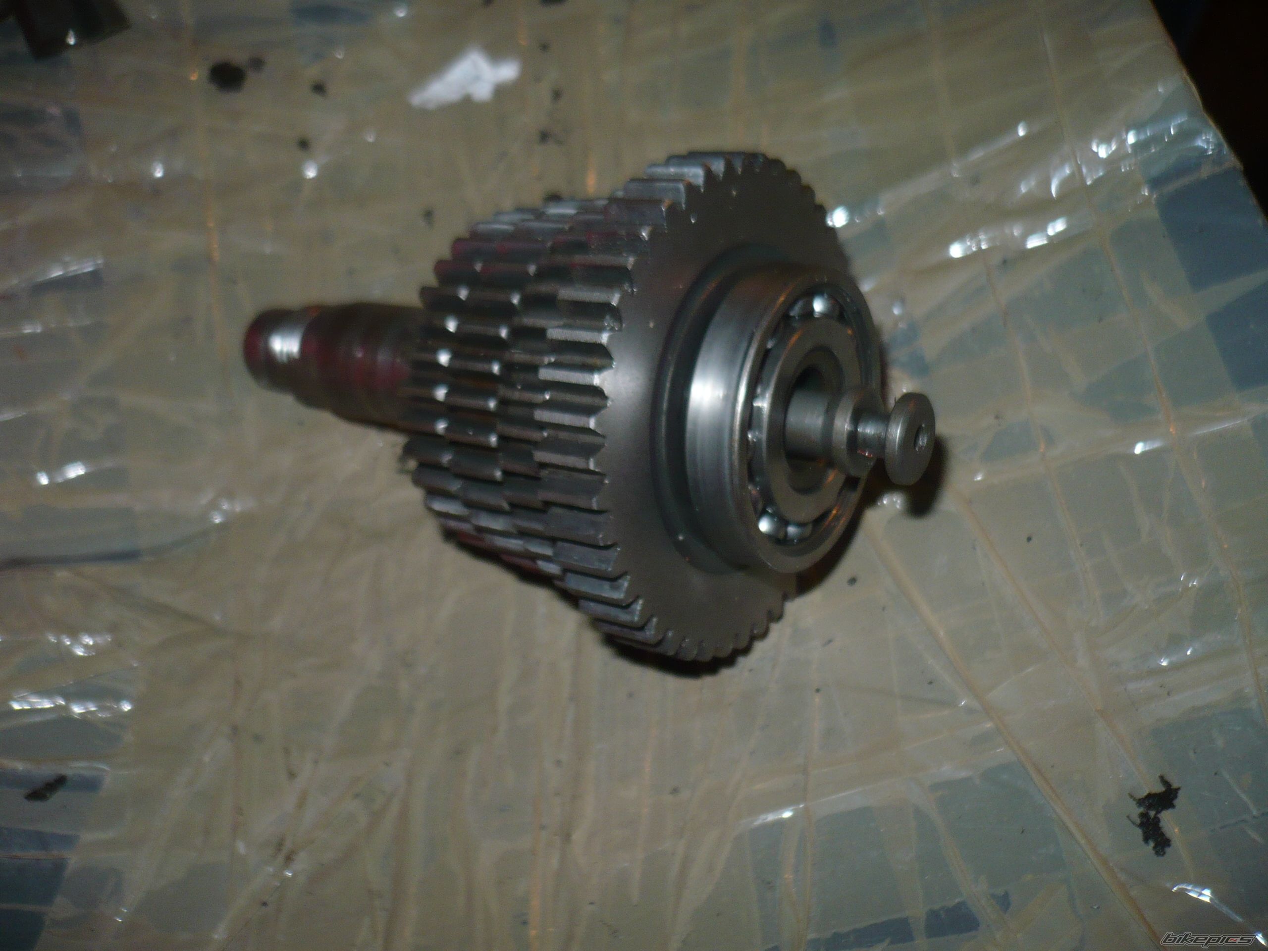 Photo 2482584