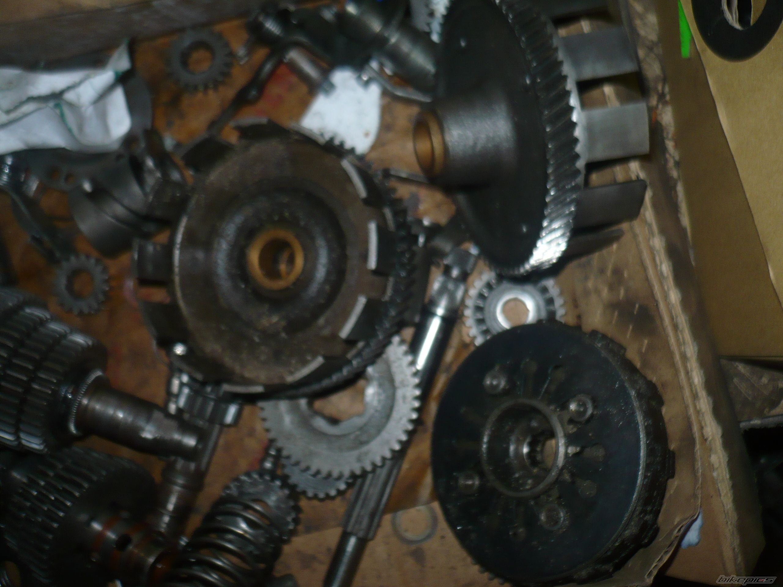 Photo 2482587