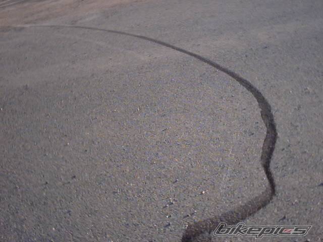 Photo 248265