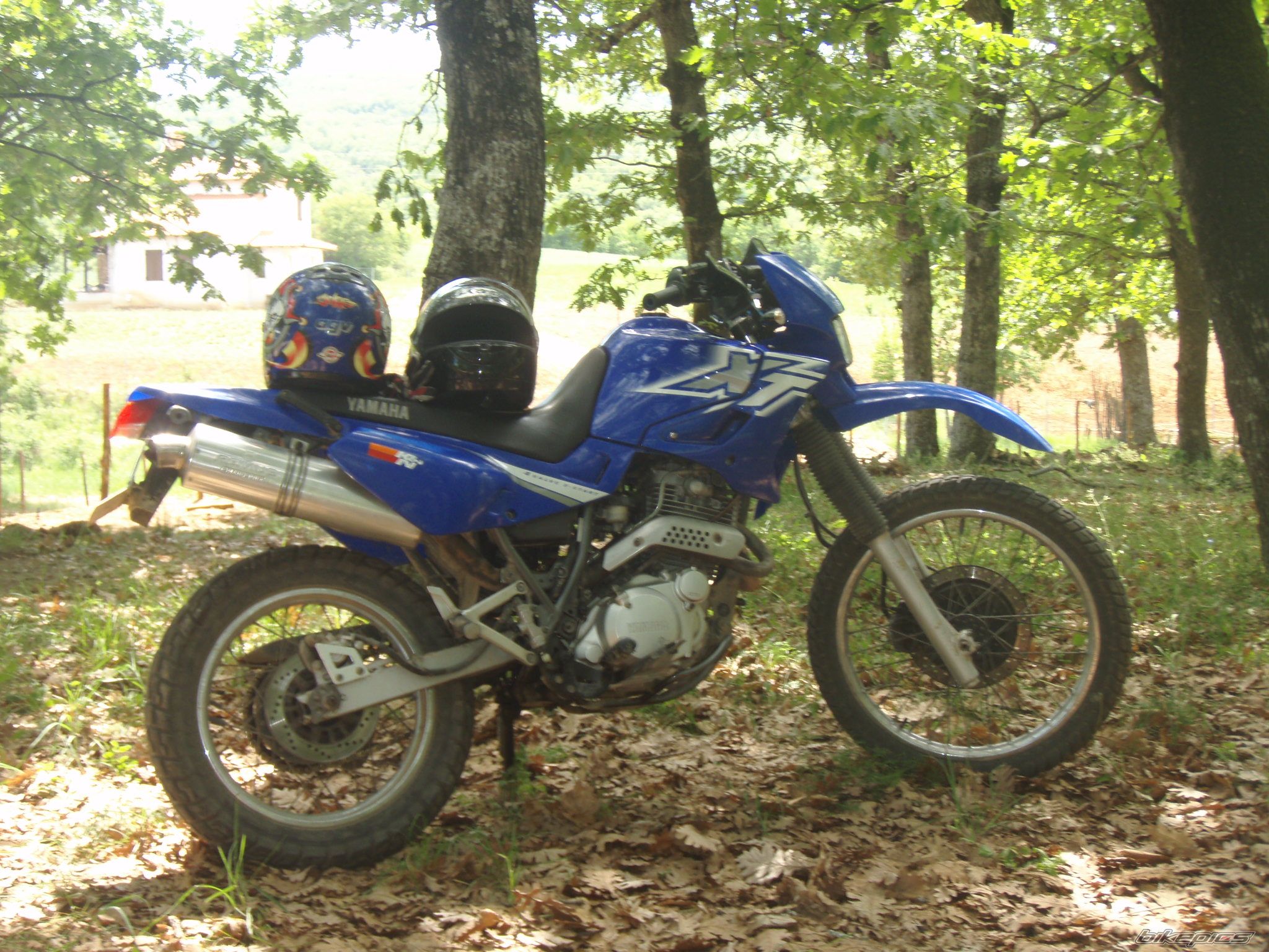 Photo 2482751