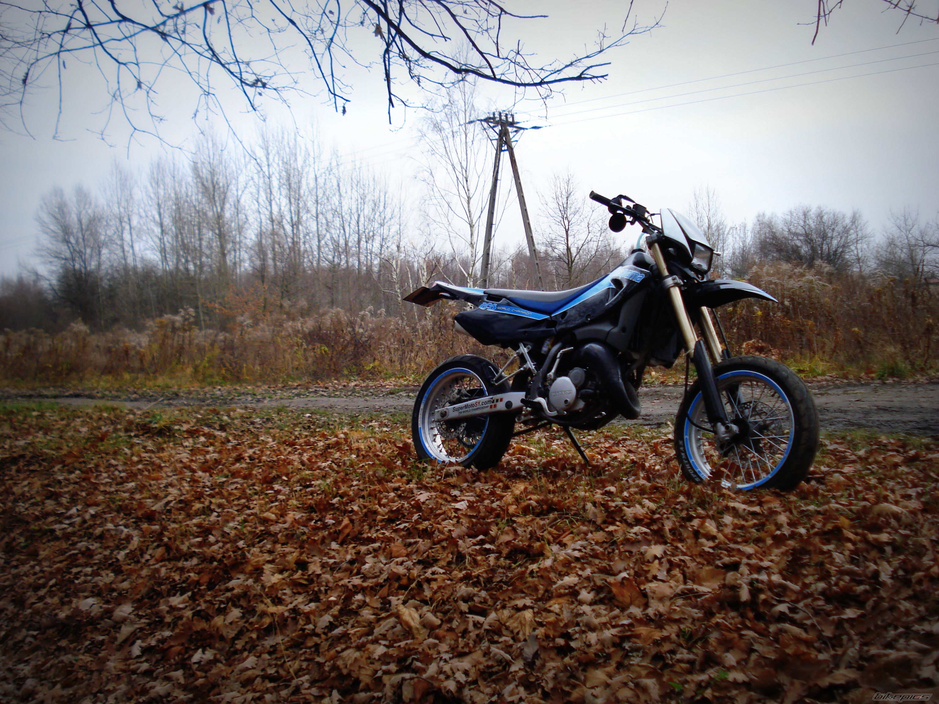 Photo 2482897