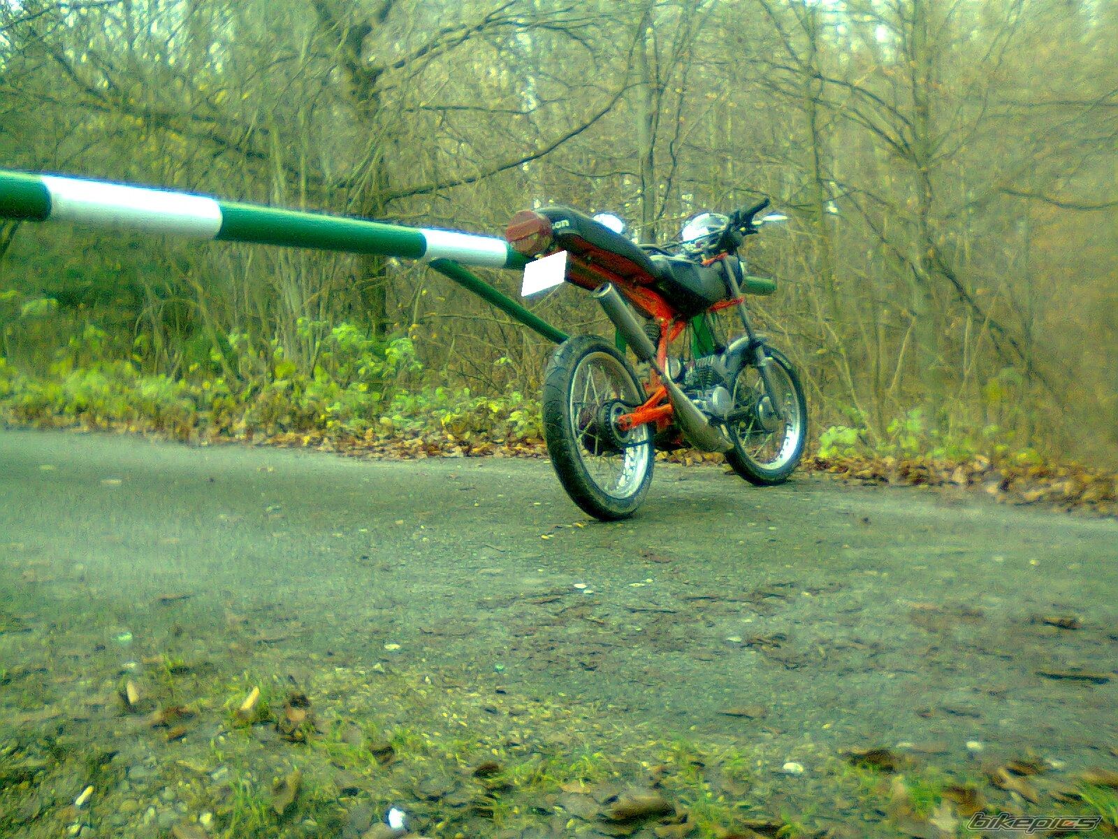 Photo 2483007