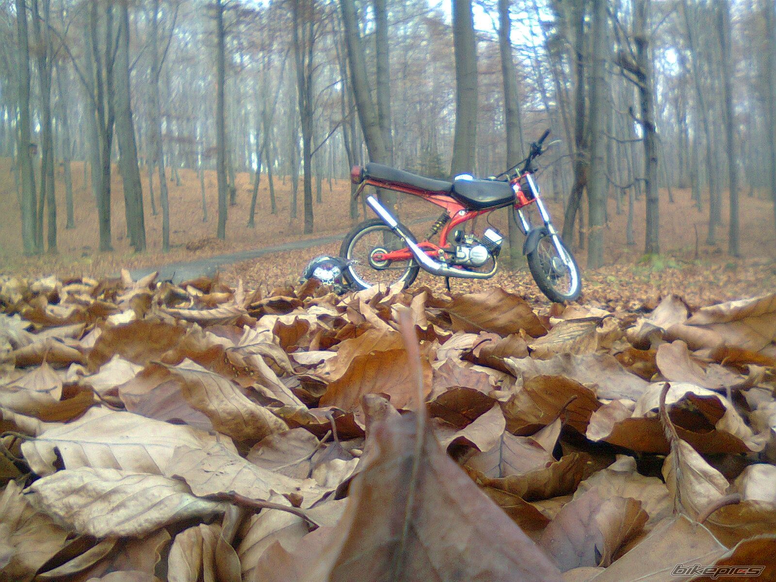 Photo 2483033