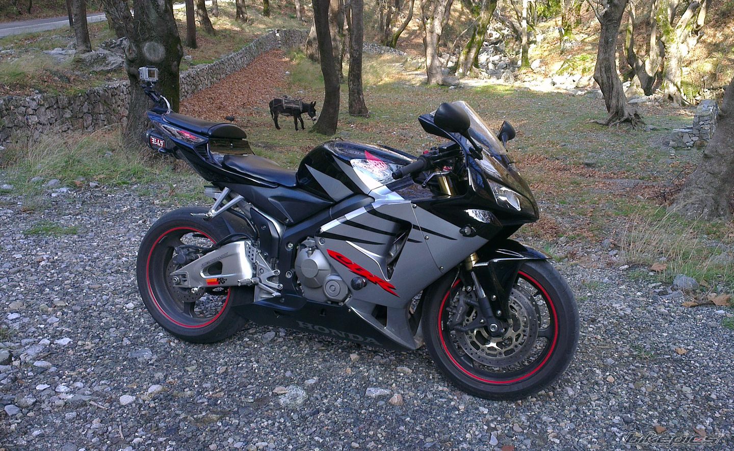 Bike Photo 2483037
