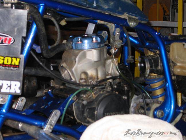 Photo 248307