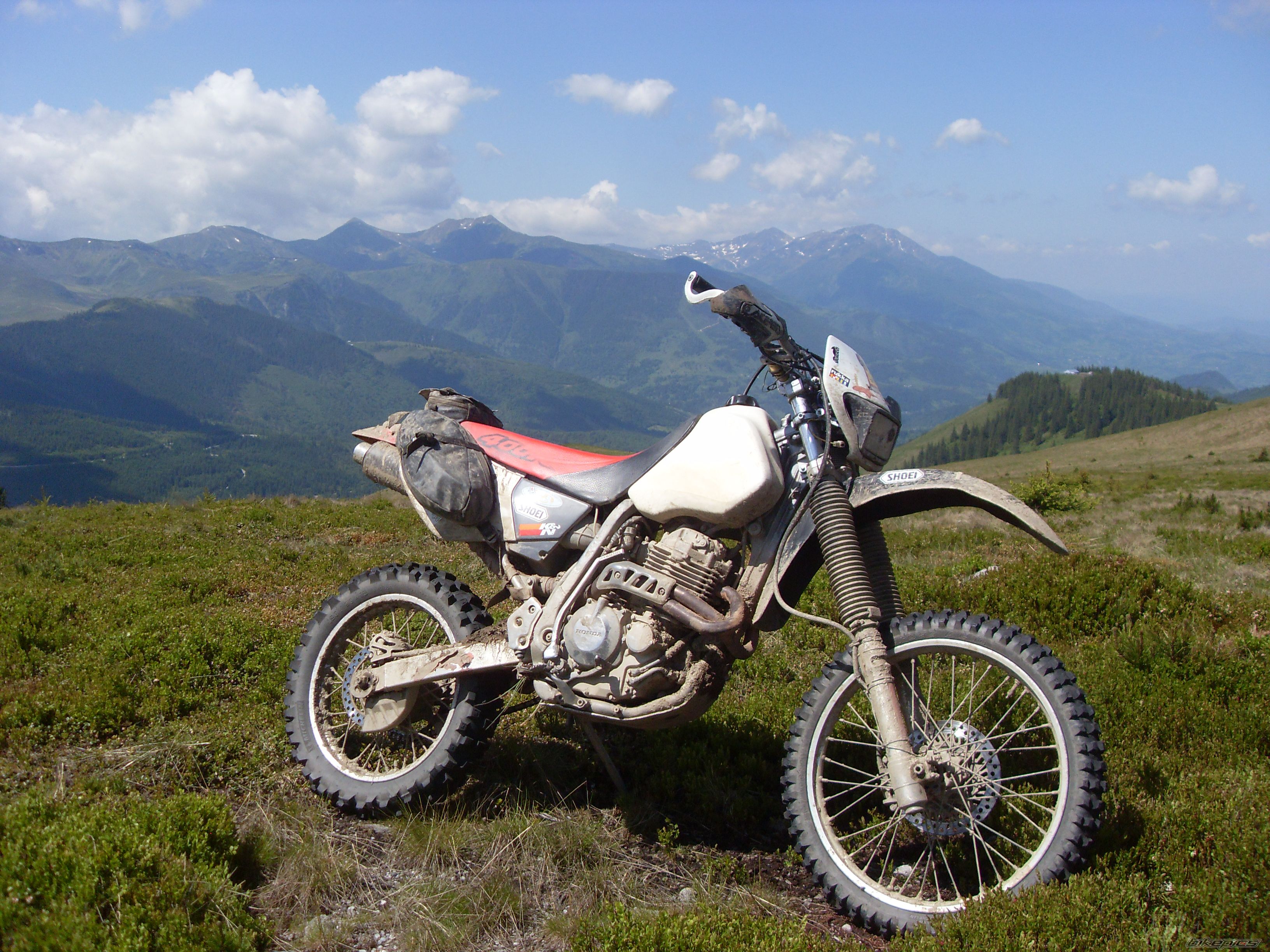 Photo 2483070