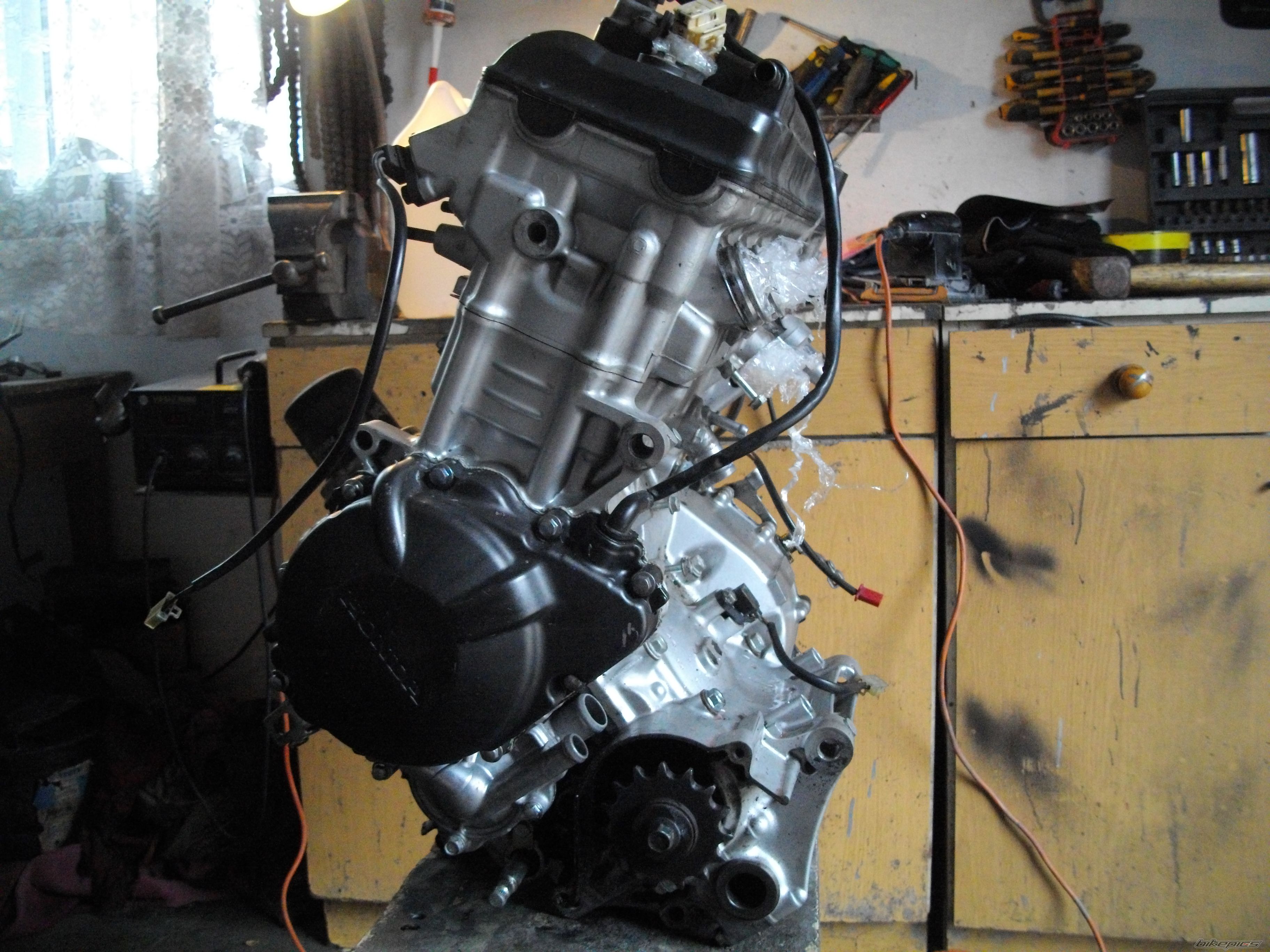 Photo 2483091