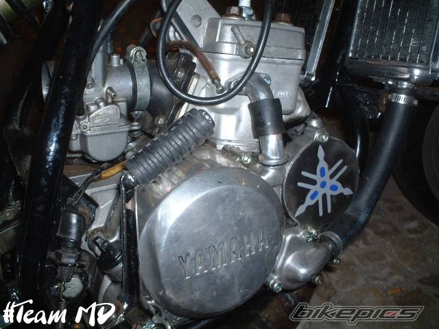 Photo 248317