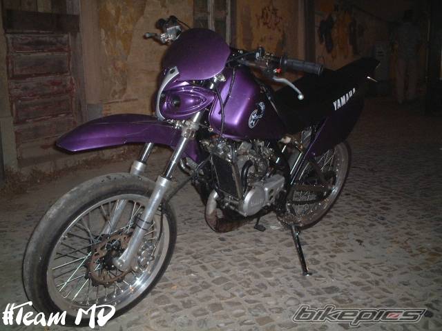 Photo 248319