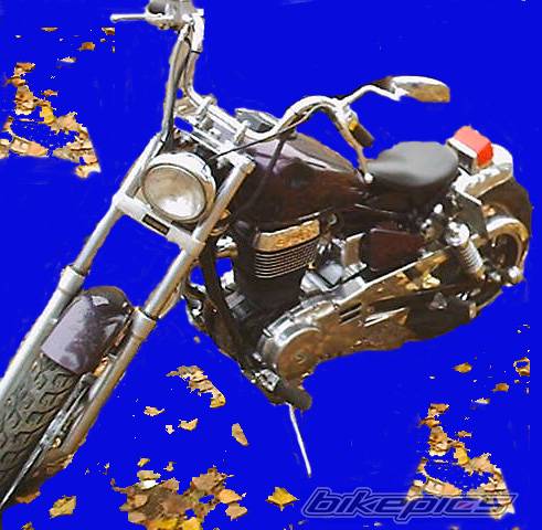 Bike Photo 248320