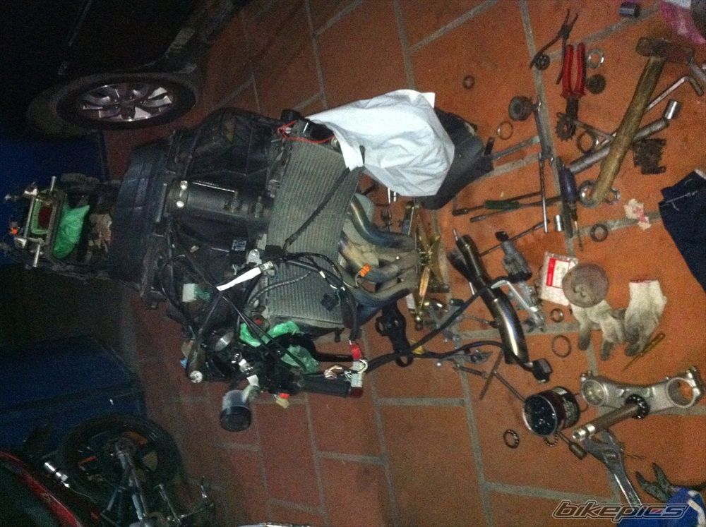 Photo 2483206