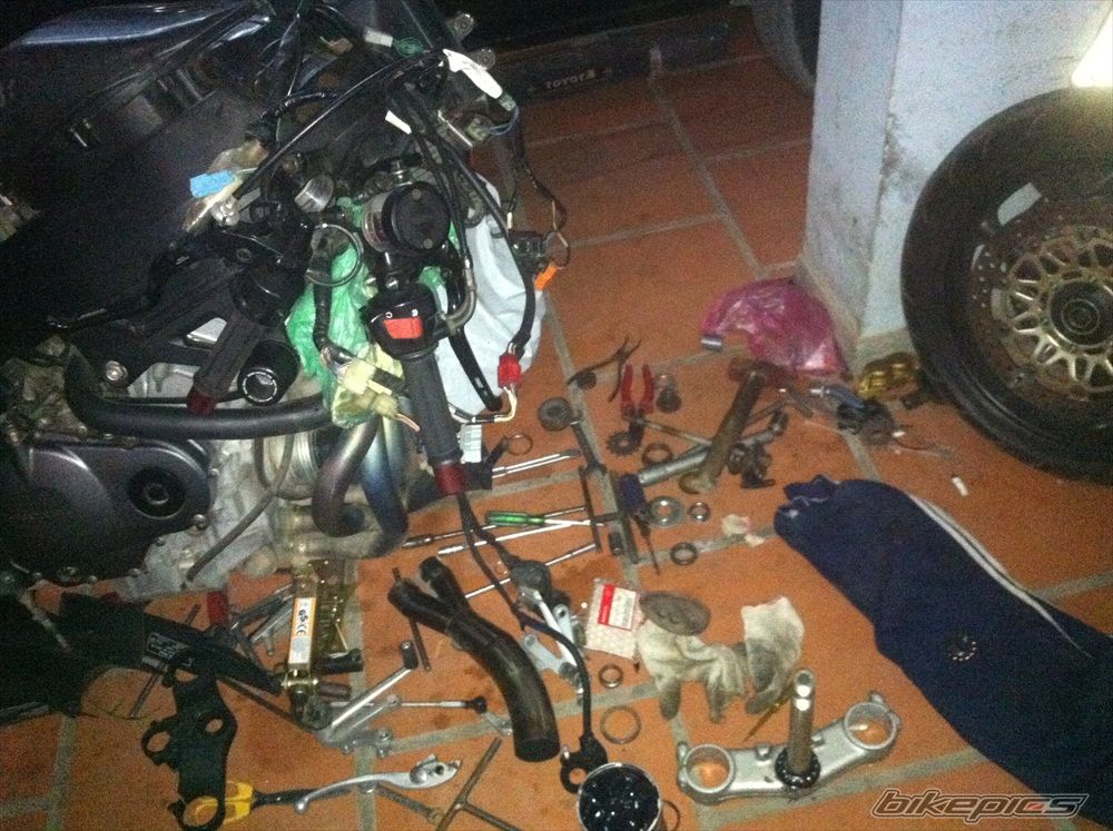 Photo 2483207