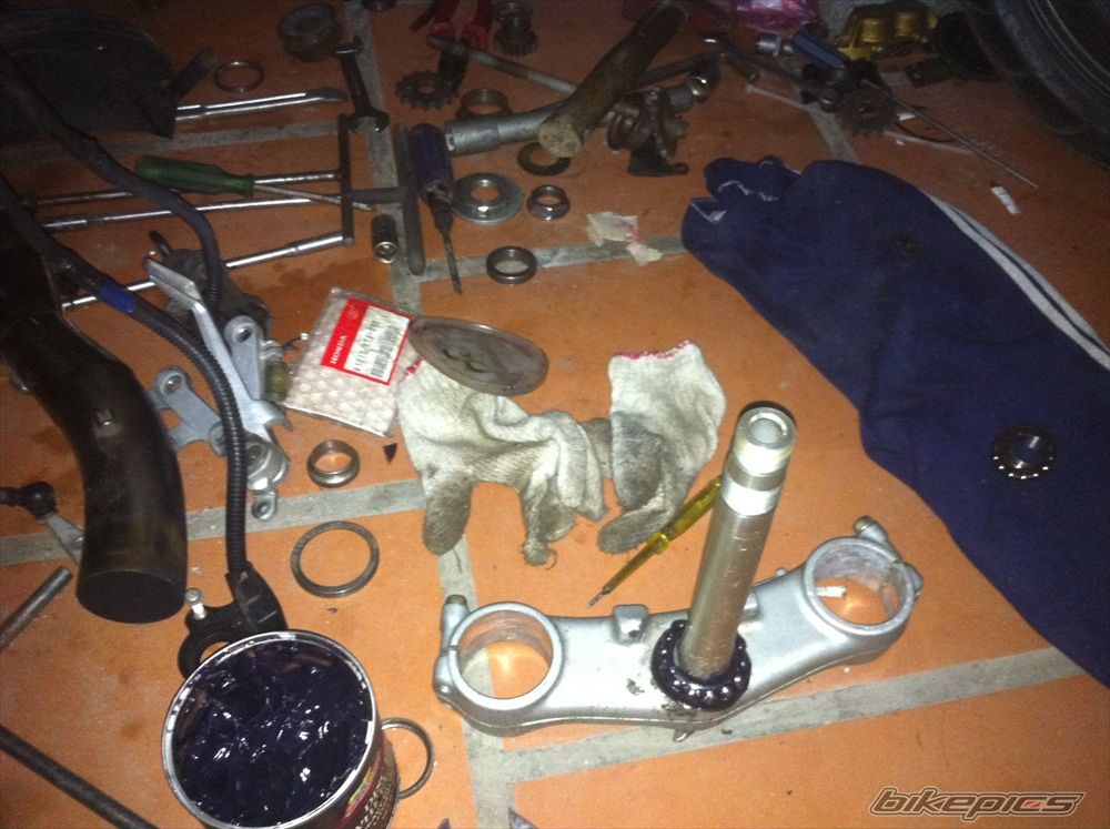 Photo 2483208