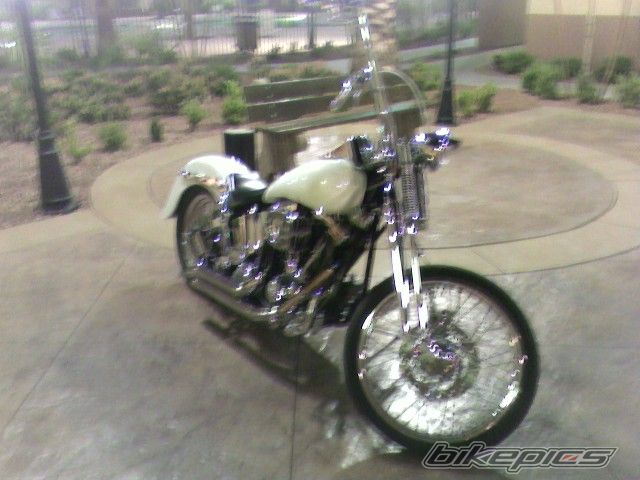 Photo 2483245